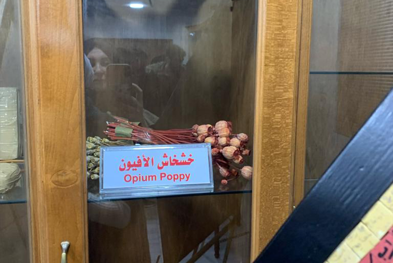 "تربوية عمان العربية" تزور مديرية مكافحة المخدرات4